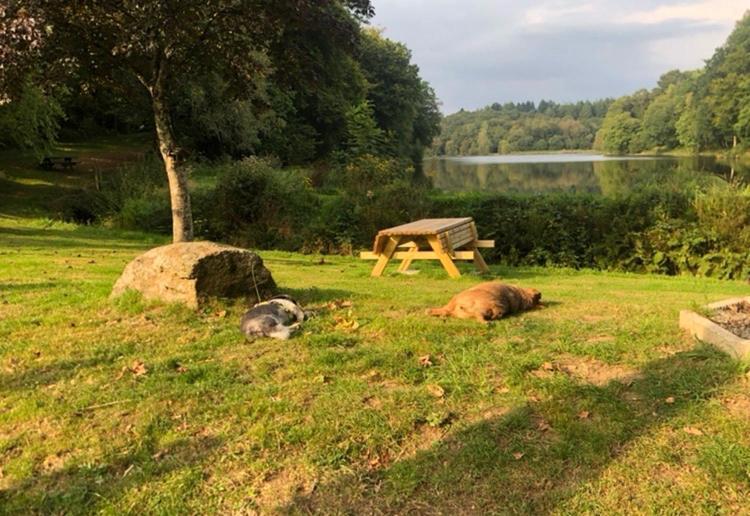 La Forge B&B Perret (Morbihan) Exterior foto